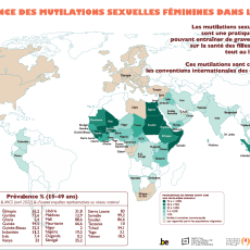 Carte de « Prévalence des mutilation sexuelles féminines dans le monde » 2023