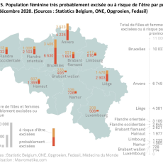 Estimation de la prévalence des filles et femmes ayant subi ou à risque de subir une mutilation génitale féminine vivant en Belgique, 2022